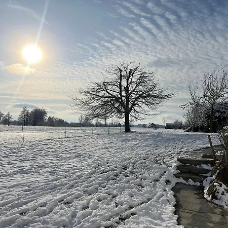 Ruhiges Wohnen Mit Bergblick Apartamento